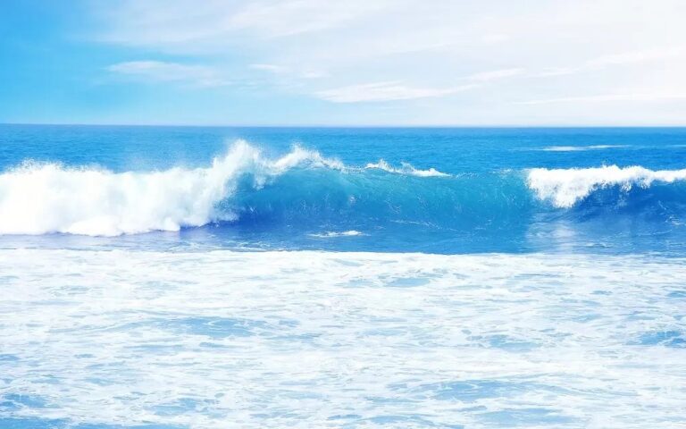 surfbeach1